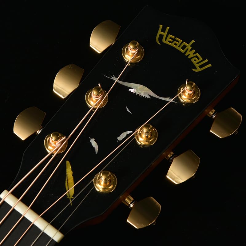 【美品】Headway HD-560sNA (カバー付き） Headway HD-E 新品！ ヘッドウェイ HD-Eエレアコ仕様のHD-560S
